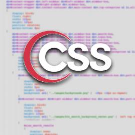 CSS